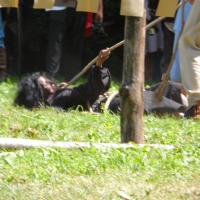 1001109_381140605342375_593729528_n