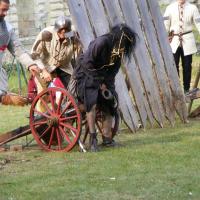 10423812_801358119923434_4761564397971509481_n