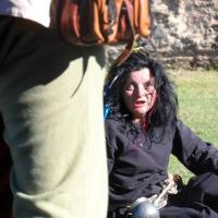 1234436_403186853137750_1079102059_n