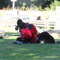 1239360_403187926470976_1165597199_n