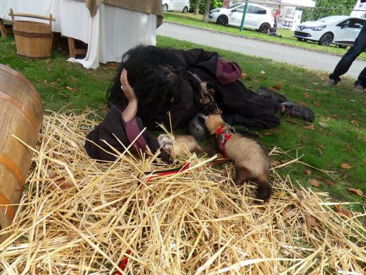 1375205_405446702911765_692263396_n