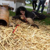 1381198_405446652911770_21837005_n