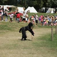 1382431_234693446687866_991517827_n